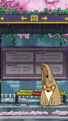 corgi at bus stop live wallpaper