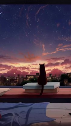 cat watching sunset live wallpaper
