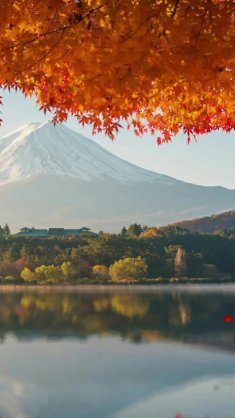 mountain landscape in autumn live wallpaper