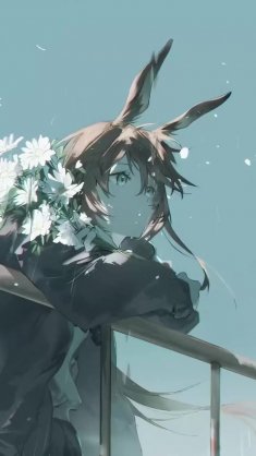 amiya: calm before the cry live wallpaper