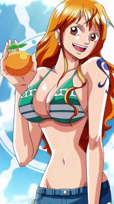 sunset voyage nami live wallpaper