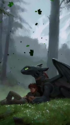 hiccup and toothless (how to train your dragon) live wallpaper