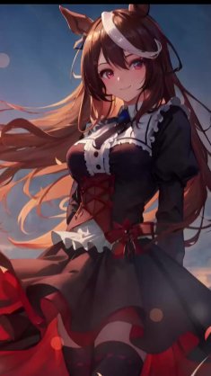 symboli rudolf - umamusume live wallpaper