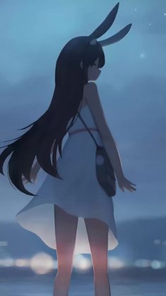 bunny girl under fireworks live wallpaper