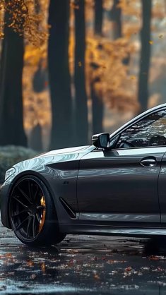 bmw 5 series fall roads live wallpaper