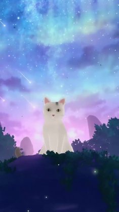 cat under aurora sky live wallpaper