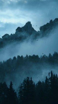 mist over the pines live wallpaper