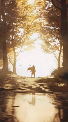 path of fallen leaves live wallpaper