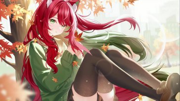 cozy autumn nap live wallpaper