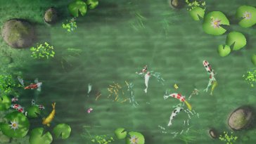 koi pond afternoon live wallpaper
