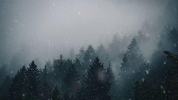 snowfall in forest animated wallpaper