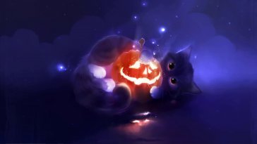 cat with pumpkin live wallpaper
