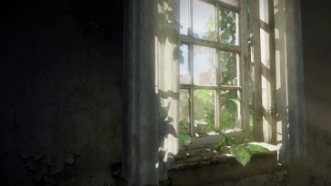 broken window (the last of us) live wallpaper