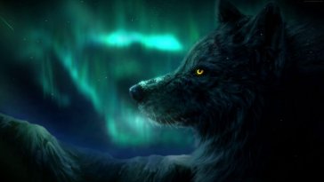 aurora borealis and wolf live wallpaper