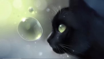 black cat with bubble live wallpaper
