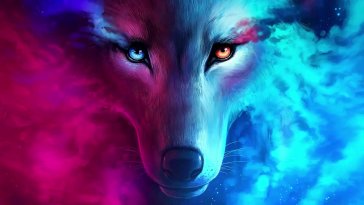 colorful wolf live wallpaper