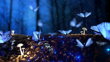 butterfllies in forest live wallpaper