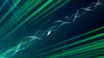 sparkling green lines live wallpaper