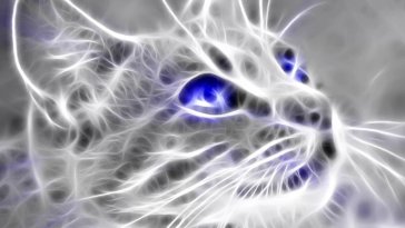 cat with blue eyes live wallpaper