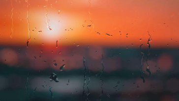 blurred sunset while raining live wallpaper