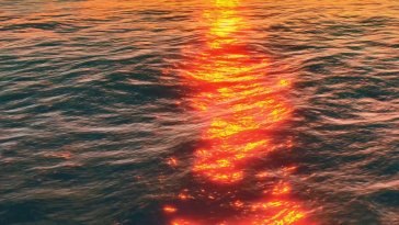 ocean with a sunset live wallpaper