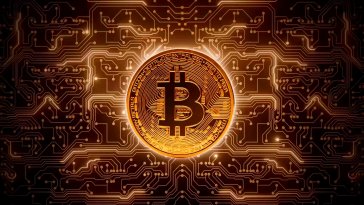 golden bitcoin live wallpaper