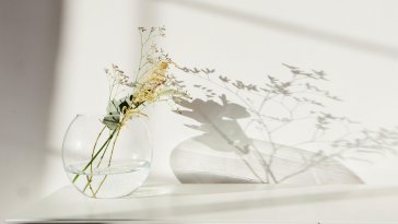 flowers in glass vase live wallpaper