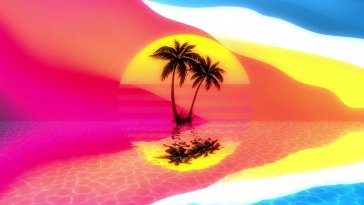 palm tree at sunset live wallpaper