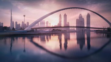 tolerance bridge live wallpaper