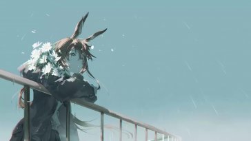 amiya: calm before the cry live wallpaper