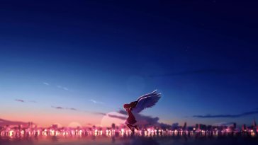 wings at sunset live wallpaper