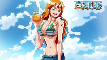 sunset voyage nami live wallpaper