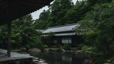 japanese temple by rainy pond live wallpaper