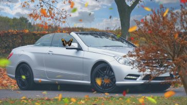 autumn drive  with mercedes-benz live wallpaper