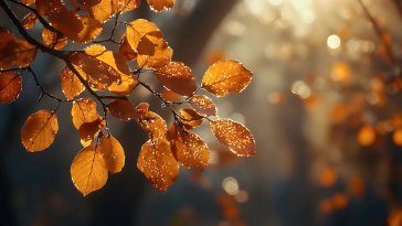 autumn leaves live wallpaper