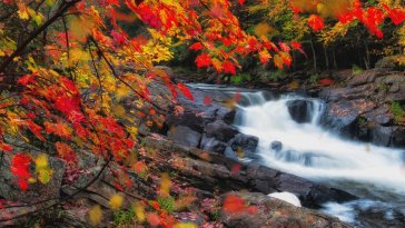 waterfall in autumn live wallpaper