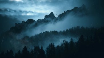 mist over the pines live wallpaper
