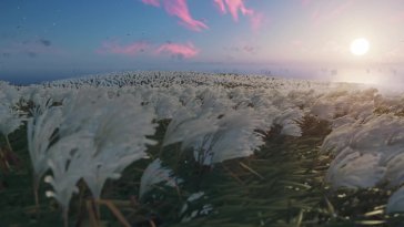 windy morning fields live wallpaper