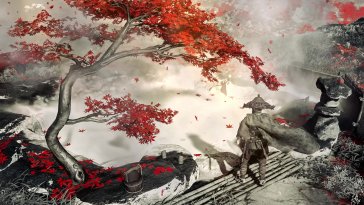 red leaves sanctuary live wallpaper