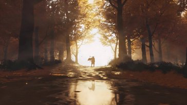 path of fallen leaves live wallpaper