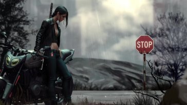roadside silence live wallpaper
