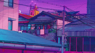Aesthetic Tokyo With Cat on the Roof gif preview