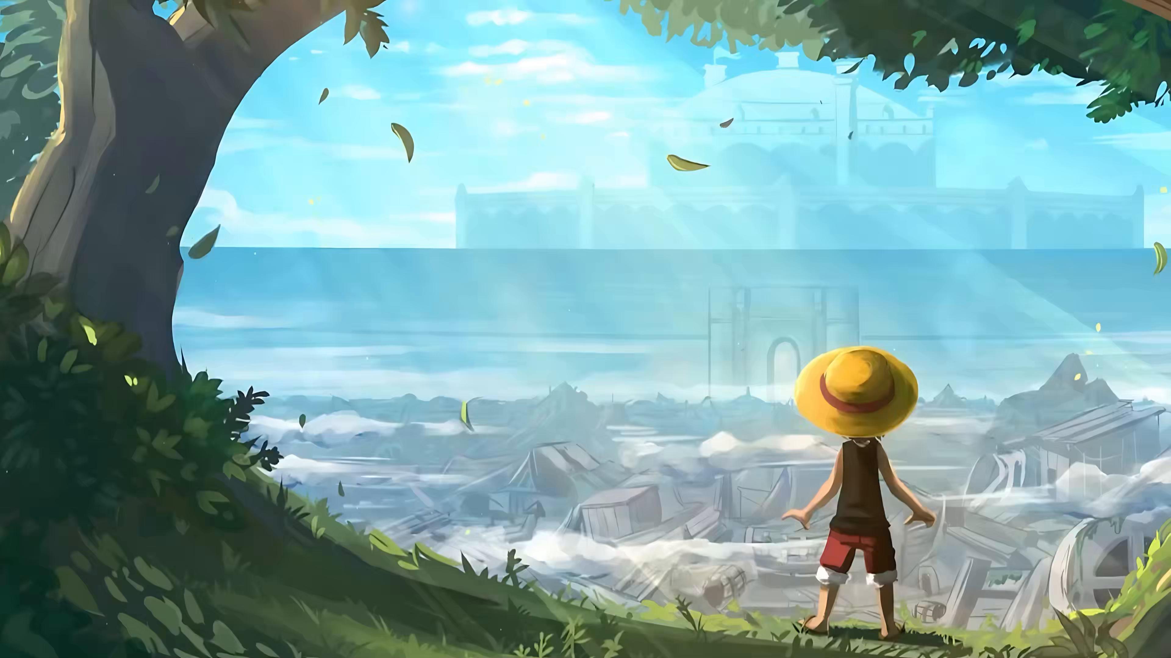 Luffy Kid in Gray Terminal Live Wallpaper