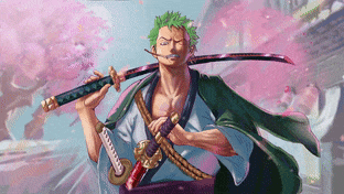 Zoro From One Piece gif preview