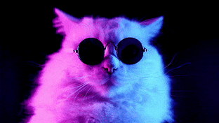 Jazzy Cat gif preview