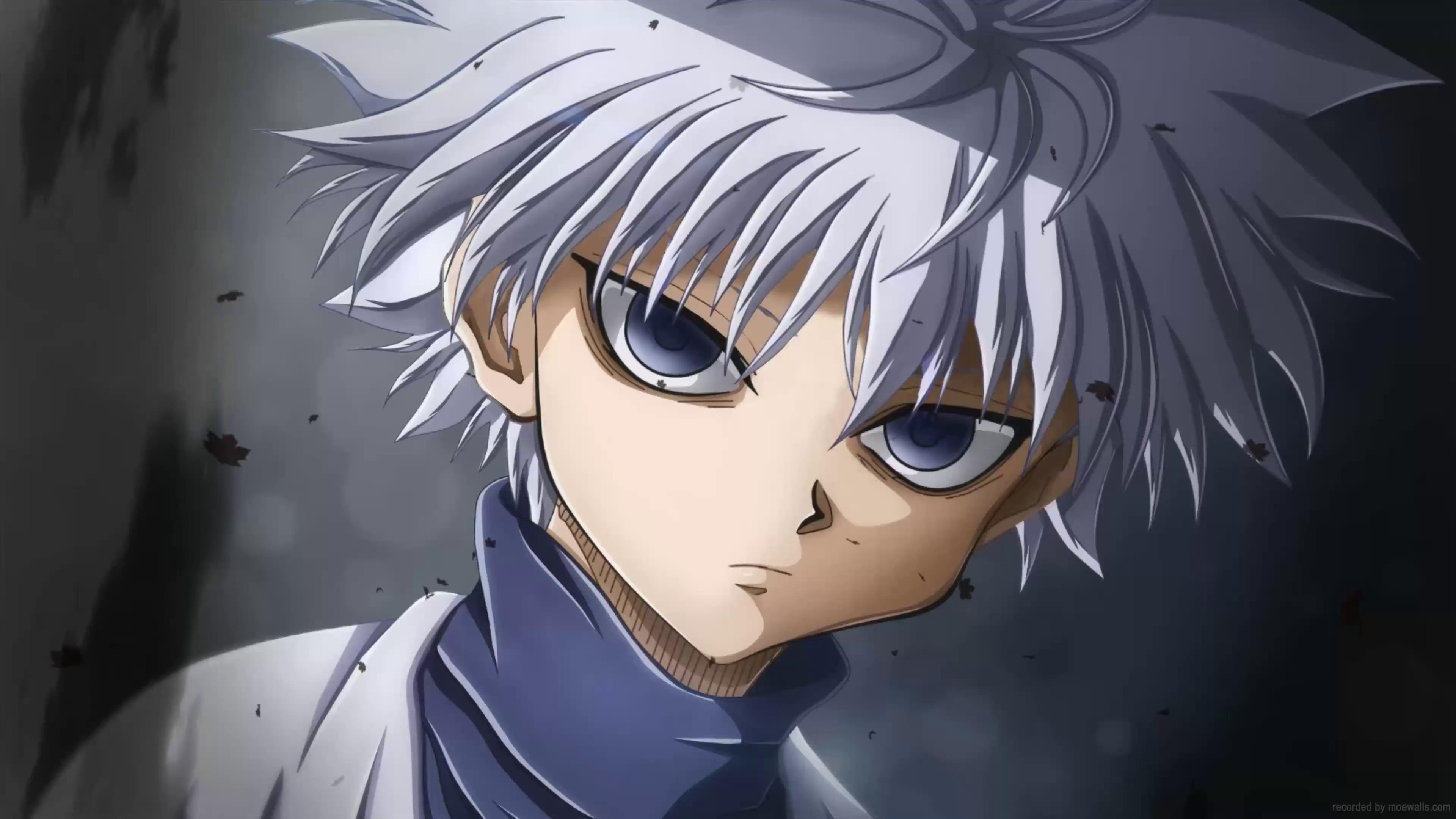 Hunter X Hunter Killua in Forest Dark Wallpapers - Killua Wallpaper