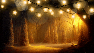 Christmas Forest gif preview