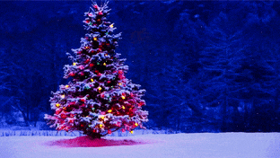 Christmas Tree gif preview