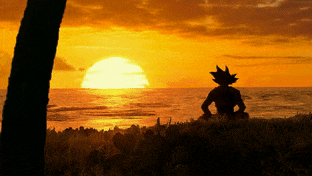 Goku Meditating While Facing the Sunset gif preview