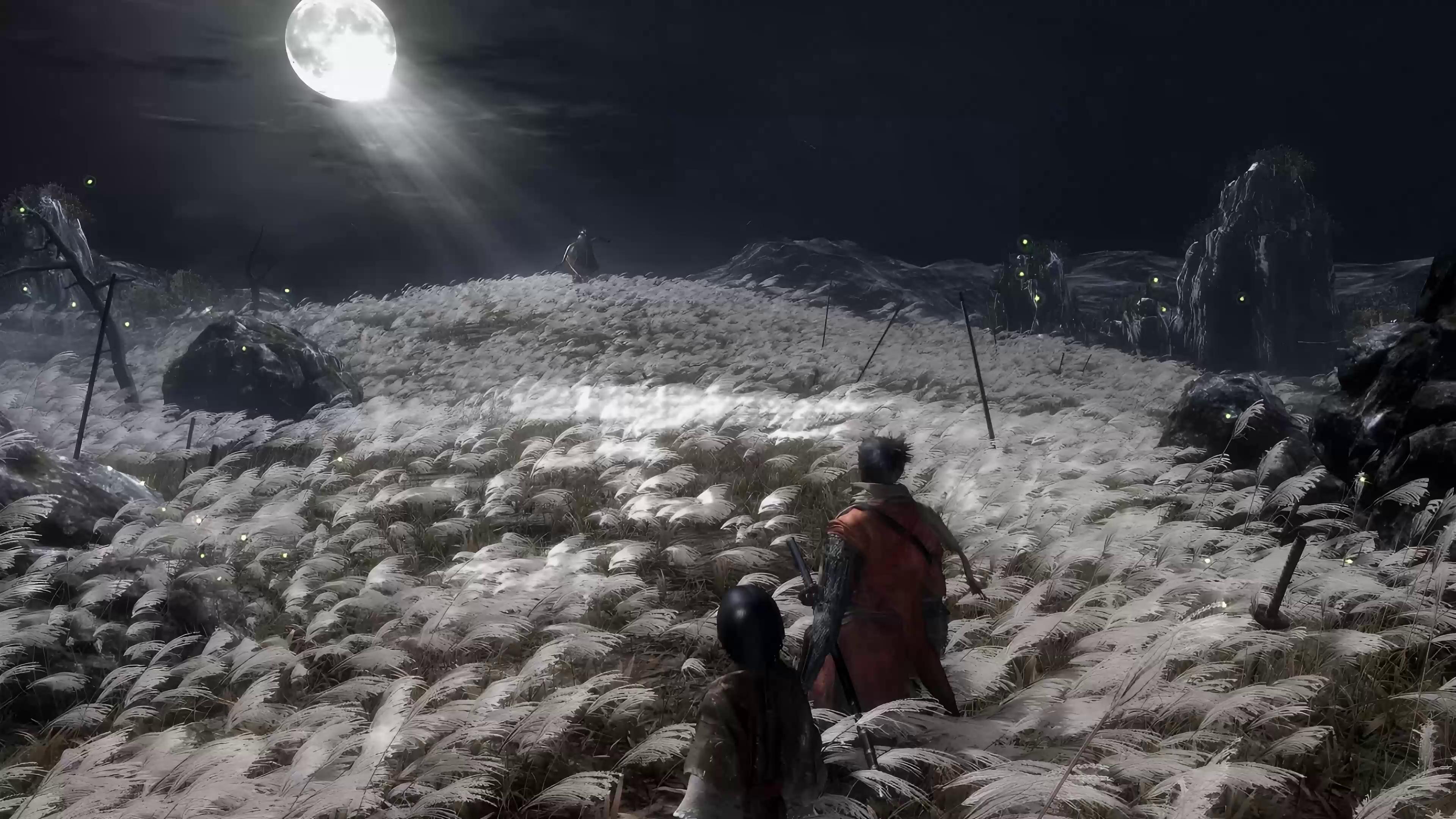 Moonlit Field Sekiro Live Wallpaper